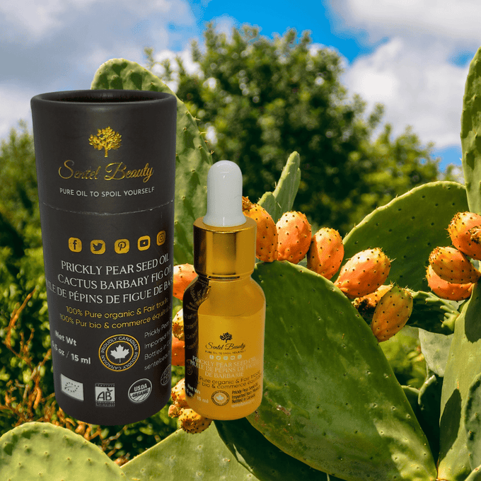 Luxurious Moroccan Prickly Pear Oil